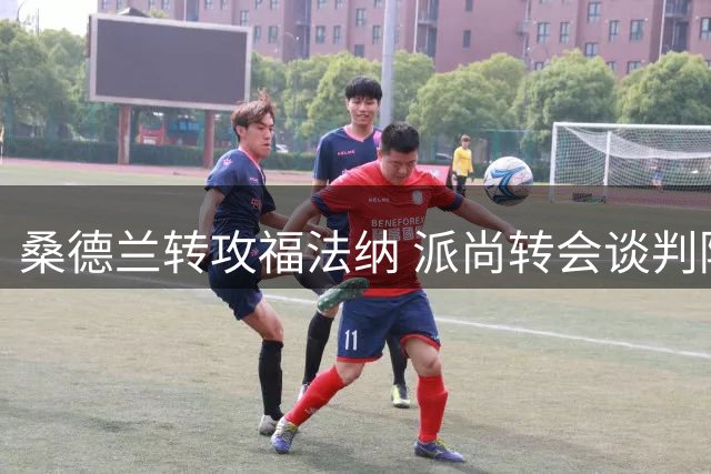 桑德兰转攻福法纳 派尚转会谈判陷入僵局
