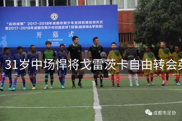 31岁中场悍将戈雷茨卡自由转会英超维拉
